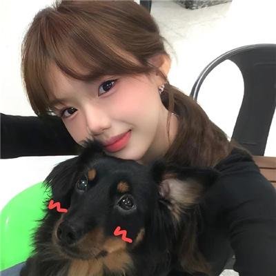 狗岛的宝藏